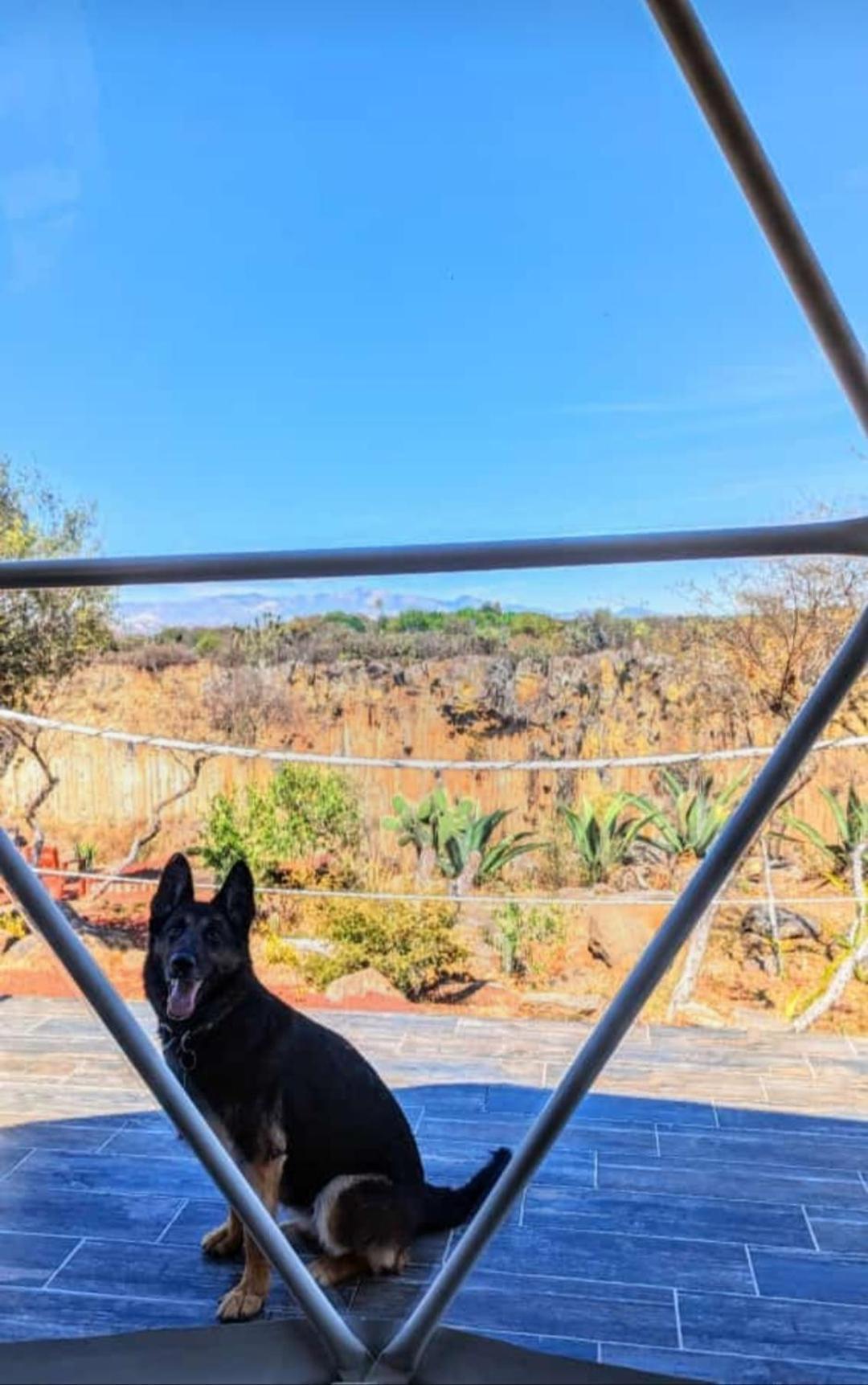 瓦斯卡坎波 El Gato Glamping Con Vista A Prismas Basalticos酒店 外观 照片