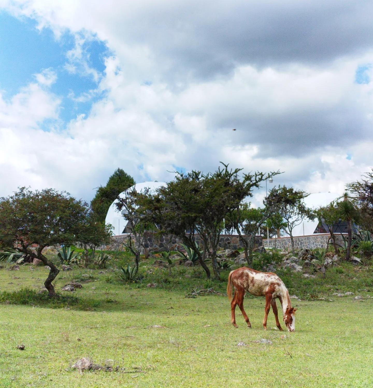瓦斯卡坎波 El Gato Glamping Con Vista A Prismas Basalticos酒店 外观 照片
