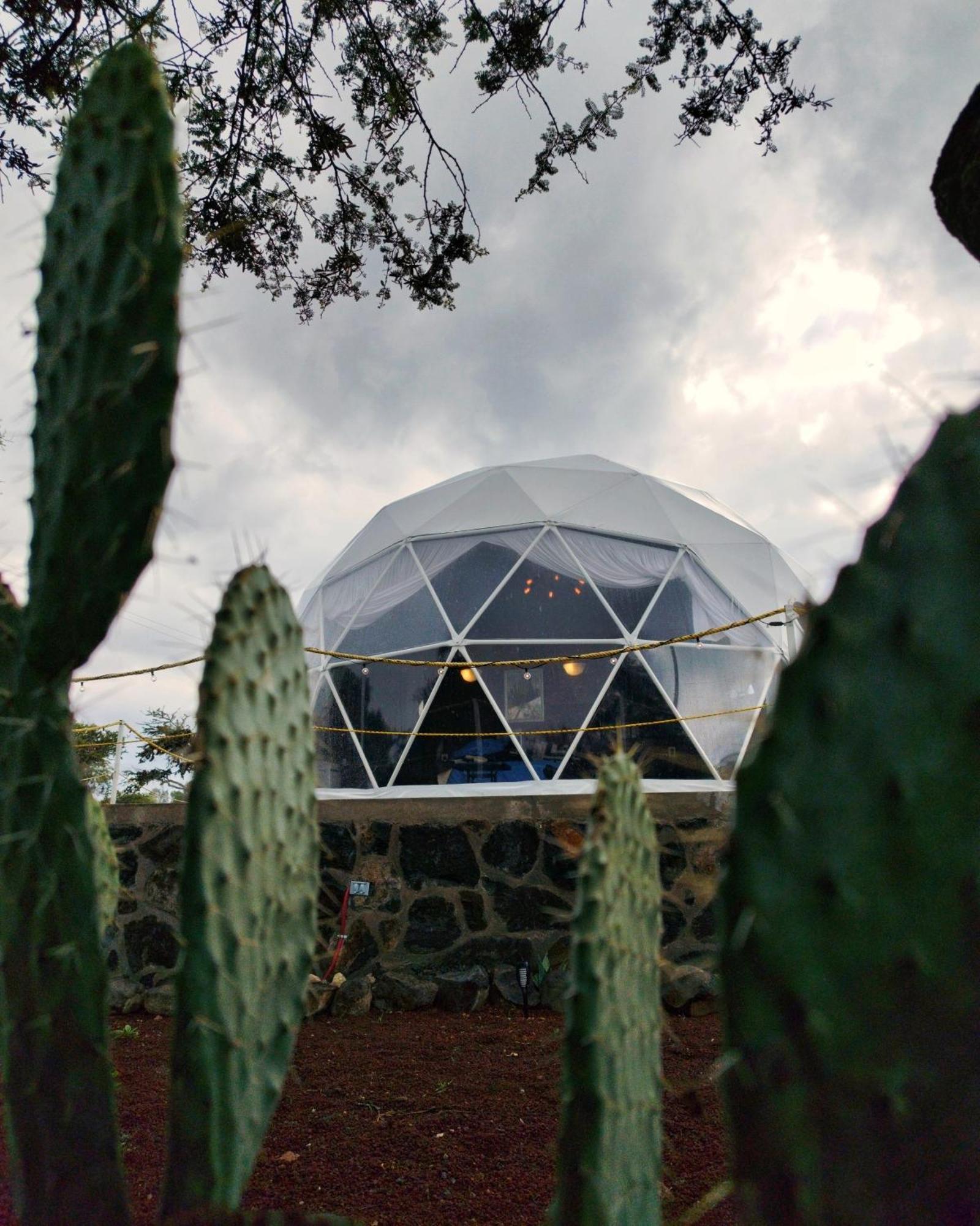 瓦斯卡坎波 El Gato Glamping Con Vista A Prismas Basalticos酒店 外观 照片